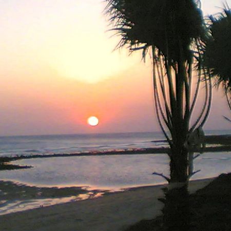 Villa Malyma Beach Front 10,000M2 Botanic Garden Zahora Exterior foto