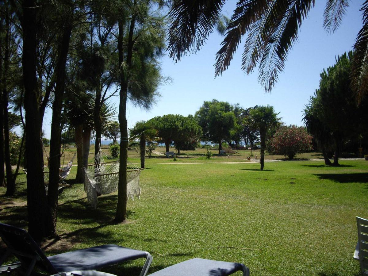 Villa Malyma Beach Front 10,000M2 Botanic Garden Zahora Exterior foto