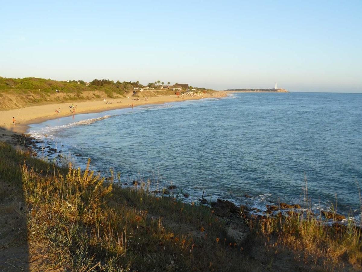 Villa Malyma Beach Front 10,000M2 Botanic Garden Zahora Exterior foto