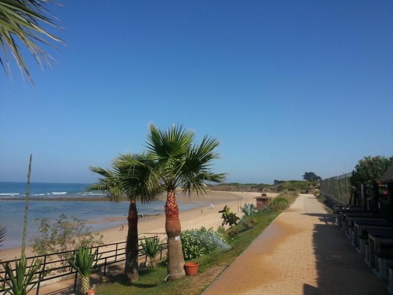 Villa Malyma Beach Front 10,000M2 Botanic Garden Zahora Exterior foto