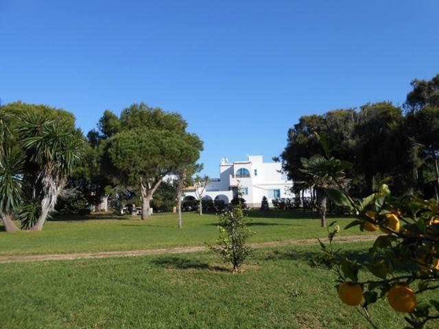 Villa Malyma Beach Front 10,000M2 Botanic Garden Zahora Exterior foto