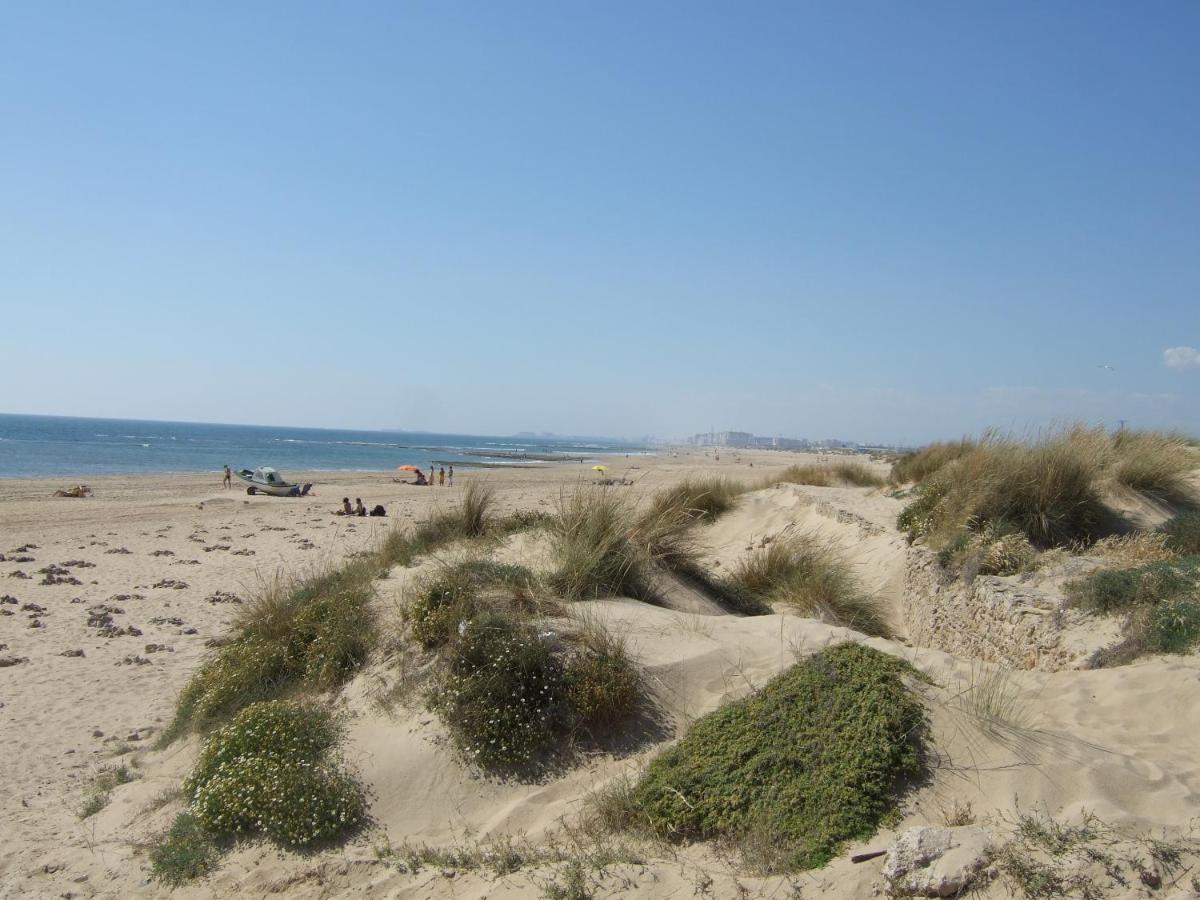 Villa Malyma Beach Front 10,000M2 Botanic Garden Zahora Exterior foto