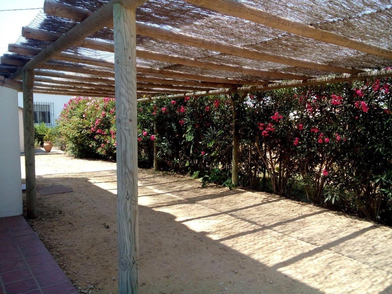 Villa Malyma Beach Front 10,000M2 Botanic Garden Zahora Quarto foto